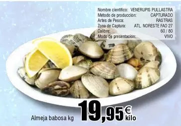 Oferta de Vivó - Almeja Babosa por 19,95€ en Froiz