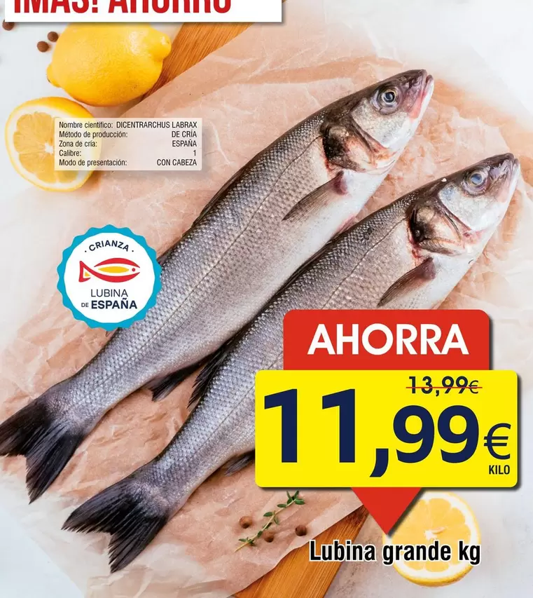 Oferta de Lubina Grande por 11,99€ en Froiz