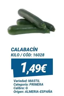 Oferta de Origen - Calabacin por 1,49€ en Dialsur Cash & Carry