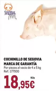 Oferta de Cochinillo De Segovia Marca De Garantia por 18,95€ en Makro