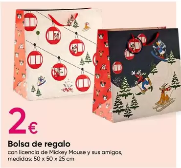 Oferta de Bolsa De Regalo por 2€ en Pepco