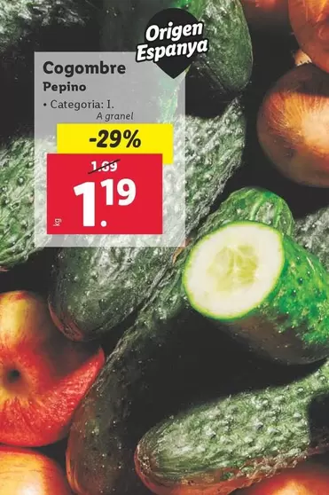 Oferta de Pepino  por 1,19€ en Lidl