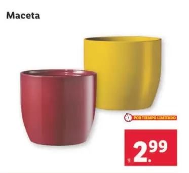 Oferta de Maceta por 2,99€ en Lidl