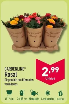 Oferta de Rosal por 2,99€ en ALDI