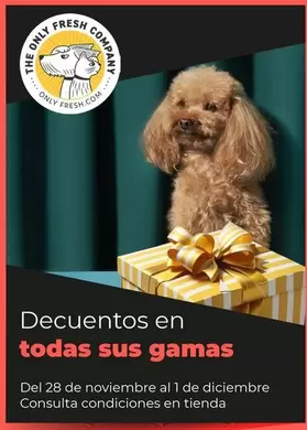 Oferta de Decuentos En Todas Sus Gamas en Los Ángeles