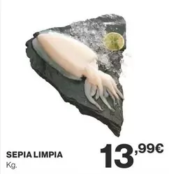 Oferta de Sepia Limpia por 13,99€ en Supercor