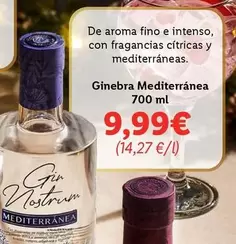 Oferta de Intenso - Ginebra Mediterranea por 9,99€ en Lidl