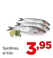 Oferta de Sardinas por 3,95€ en Alimerka