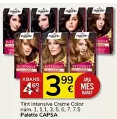 Oferta de Palette - Tint Intensive Creme Color por 3,99€ en Supermercados Charter