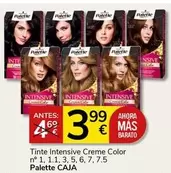 Oferta de Palette - Tinte Intensive Creme Color por 3,99€ en Supermercados Charter