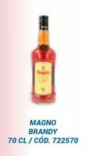 Oferta de Magno - Brandy en Dialsur Cash & Carry