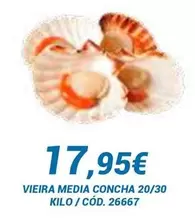 Oferta de Vieira Media Concha 20/30 por 17,95€ en Dialsur Cash & Carry