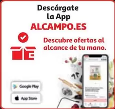 Oferta de Google - Descargate La App en Alcampo