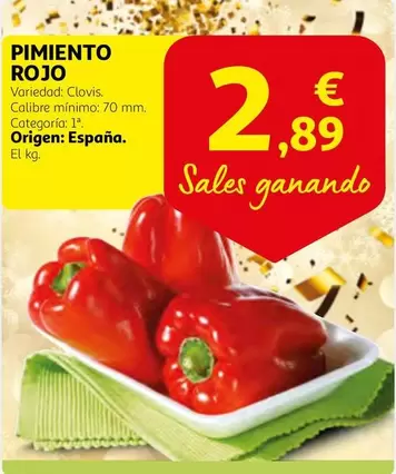 Oferta de Origen - Pimiento Rojo por 2,89€ en Alcampo