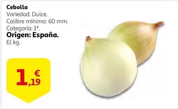 Oferta de Origen - Cebolla por 1,19€ en Alcampo