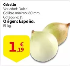 Oferta de Origen - Cebolla por 1,19€ en Alcampo