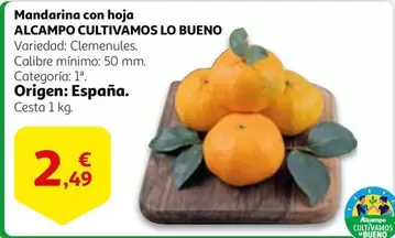 Oferta de Alcampo - Mandarina Con Hoja por 2,49€ en Alcampo