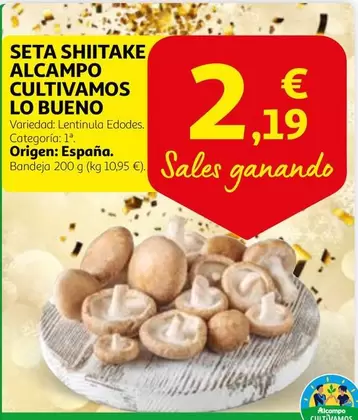 Oferta de Alcampo - Seta Shiitake Alcampo Cultivamos por 2,19€ en Alcampo