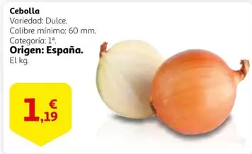 Oferta de Origen - Cebolla por 1,19€ en Alcampo