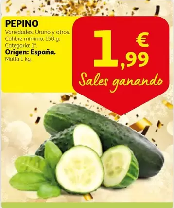 Oferta de Origen - Pepino por 1,99€ en Alcampo