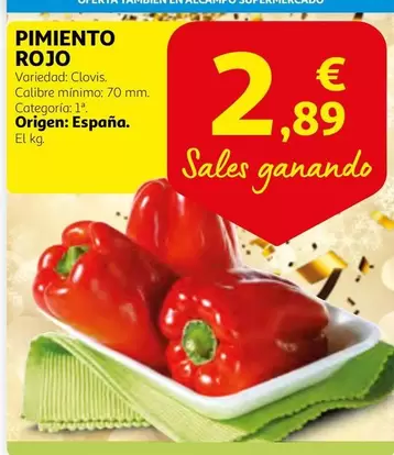 Oferta de Origen - Pimiento Rojo por 2,89€ en Alcampo