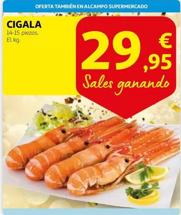 Oferta de Cigala por 29,95€ en Alcampo