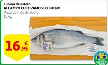 Oferta de Alcampo - Lubina De Estero por 16,95€ en Alcampo