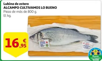 Oferta de Alcampo - Lubina De Estero por 16,95€ en Alcampo