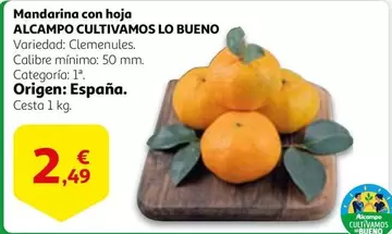 Oferta de Alcampo - Mandarina Con Hoja por 2,49€ en Alcampo