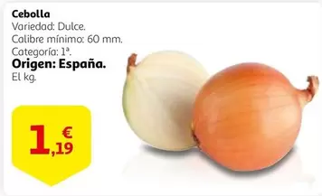 Oferta de Origen - Cebolla por 1,19€ en Alcampo