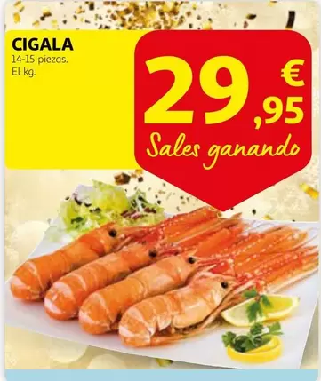 Oferta de Cigala por 29,95€ en Alcampo