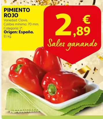 Oferta de Origen - Pimiento Rojo por 2,89€ en Alcampo