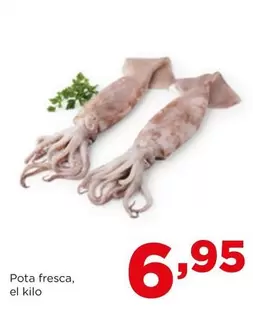 Oferta de Pota Fresca por 6,95€ en Alimerka