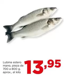 Oferta de Lubina Estero Mano por 13,95€ en Alimerka