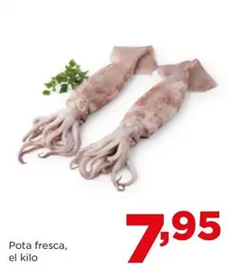 Oferta de Pota Fresca por 7,95€ en Alimerka