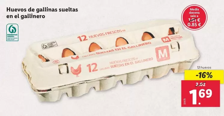 Oferta de Huevos De Gallinas Sueltas En El Gallinero por 1,69€ en Lidl