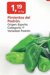 Oferta de Origen - Pimientos Del Padron por 1,19€ en Suma Supermercados