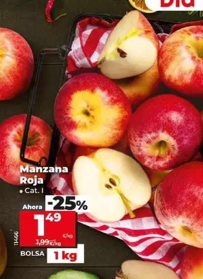 Oferta de Manzana Roja por 1,49€ en Dia