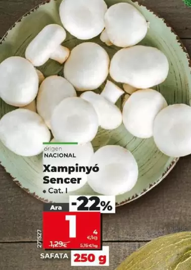 Oferta de Champinon Entero por 1€ en Dia