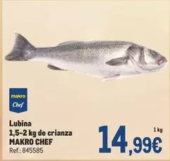 Oferta de Makro - Chef Lubina por 14,99€ en Makro