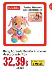 Oferta de Fisher-Price - Rie Y Aprende Perrita Primeros Descubrimientos por 32,39€ en Froiz