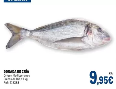 Oferta de Dorada - Dorada De Cría por 9,95€ en Makro