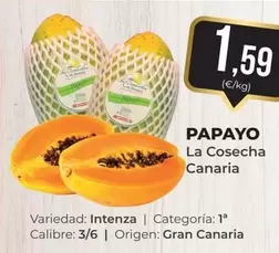 Oferta de Origen - Papayo La Cosecha Canaria por 1,59€ en SPAR Gran Canaria