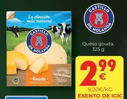 Oferta de Castillo - Queso Gouda por 2,99€ en CashDiplo