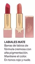 Oferta de Special - Lábiales Mate en Mercadona