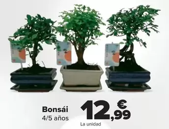 Oferta de Bonsai por 12,99€ en Carrefour