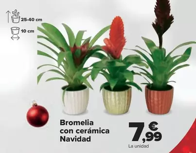 Oferta de Bromelia Con Ceramica Navidad por 7,99€ en Carrefour