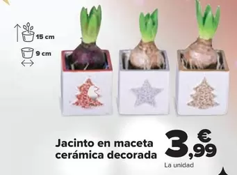 Oferta de Jacinto En Maceta Cerámica Decorada por 3,99€ en Carrefour