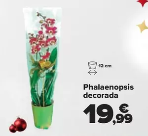 Oferta de Phalaenopsis Decorada por 19,99€ en Carrefour