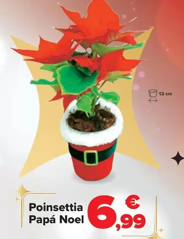 Oferta de Poinsettia Papá Noel por 6,99€ en Carrefour